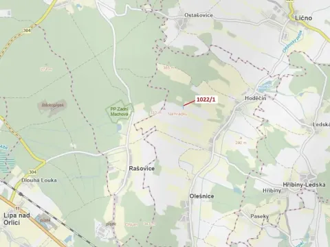 Dražba pole, Olešnice, 318 m2