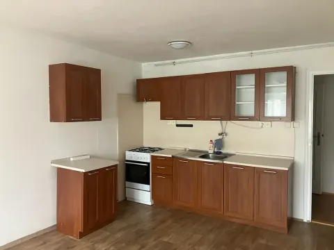 Pronájem bytu 2+kk, Brno, Hostinského, 54 m2
