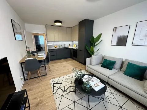 Pronájem bytu 3+kk, Ostrava, Dr. Martínka, 54 m2