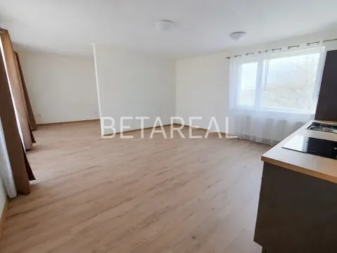 Pronájem bytu 1+kk, Brno, Plotní, 49 m2