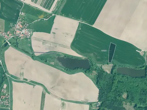 Prodej pole, Kluky, 21656 m2