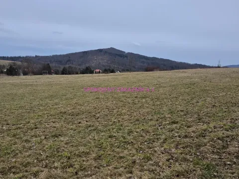 Prodej pozemku pro bydlení, Velká Bukovina, 1263 m2