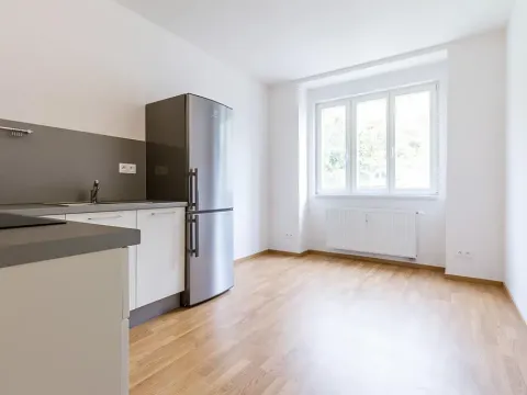 Pronájem bytu 1+1, Praha - Smíchov, Podbělohorská, 45 m2