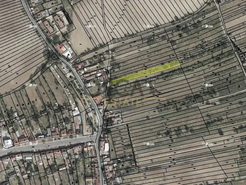 Prodej sadu/vinice, Hýsly, 1503 m2