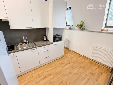 Pronájem bytu 1+kk, Valašské Meziříčí, Křižná, 30 m2
