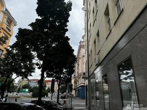 Pronájem bytu 1+1, Praha - Vinohrady, Řipská, 47 m2