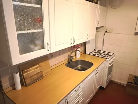 Prodej bytu 3+1, Brno, Družstevní, 70 m2