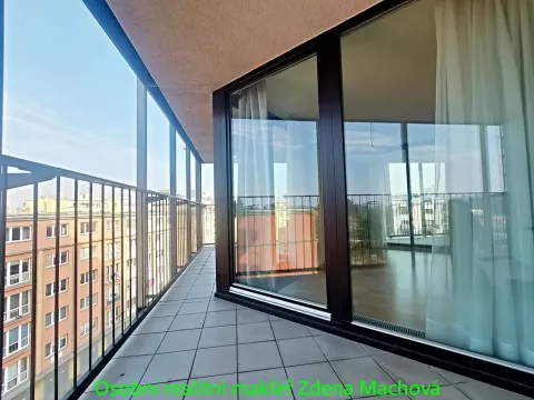 Pronájem bytu 1+kk, Praha - Žižkov, 38 m2