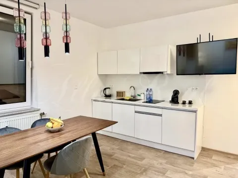 Pronájem bytu 1+kk, Brno - Brno-město, Kobližná, 50 m2