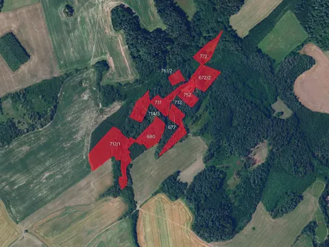 Prodej lesa, Proseč, 39942 m2