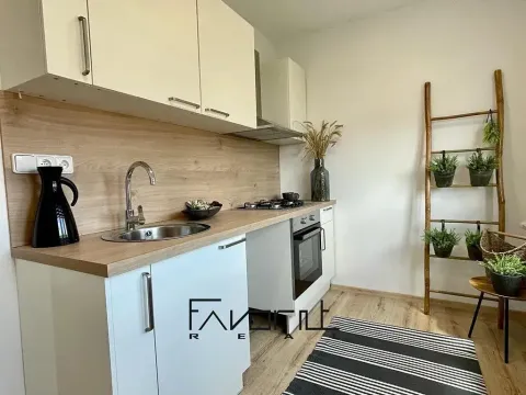 Prodej bytu 1+1, Ostrava, Gen. Píky, 40 m2