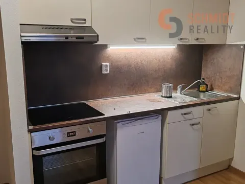 Pronájem bytu 1+kk, Šakvice, Hlavní, 32 m2