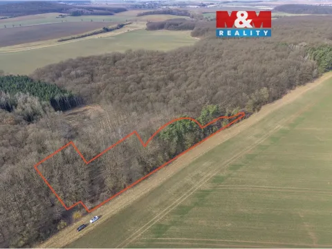 Prodej lesa, Slatiny, 6169 m2