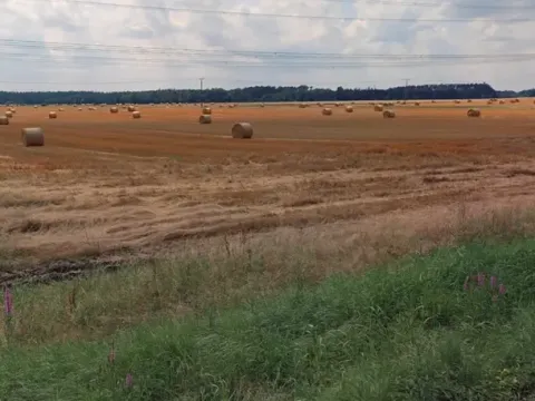 Prodej pole, Dříteň, 131617 m2