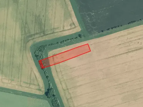 Prodej pole, Bukovany, 4230 m2