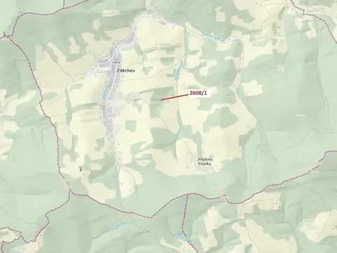 Dražba lesa, Zděchov, 481 m2