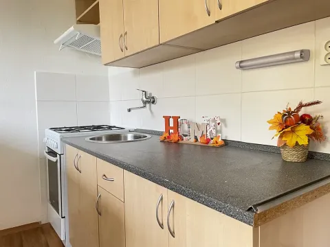 Pronájem bytu 1+1, Litvínov, Tylova, 38 m2