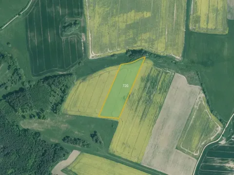 Prodej pole, Bernartice, 15736 m2