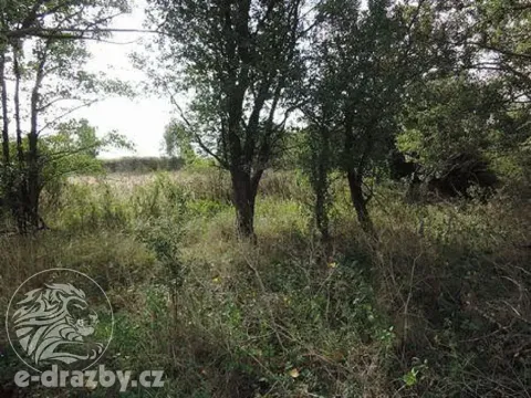 Dražba pozemku, Čisovice, 11062 m2