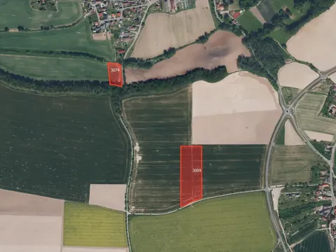 Prodej pole, Černíkovice, 7381 m2