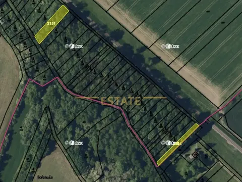 Prodej lesa, Bezměrov, 1621 m2