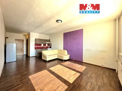 Prodej bytu 1+kk, Orlová - Lutyně, F. S. Tůmy, 32 m2