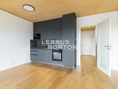 Pronájem bytu 1+kk, Praha - Stodůlky, Ujgurská, 41 m2