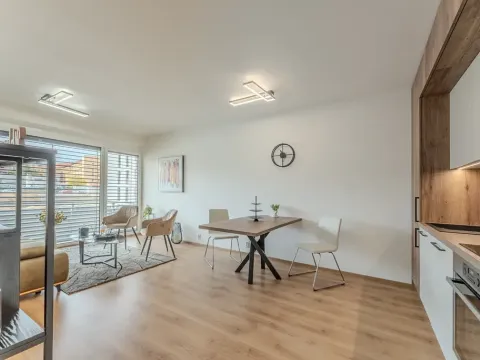 Prodej bytu 2+kk, Hořovice, K Bažantnici, 53 m2