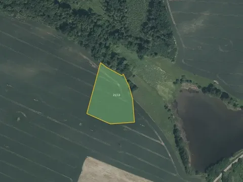 Prodej pole, Čížová, 12153 m2