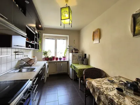 Prodej bytu 1+1, Brno, Klímova, 45 m2