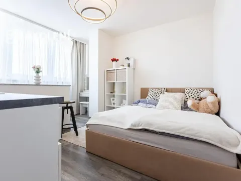 Pronájem bytu 1+kk, Praha - Střížkov, Děčínská, 22 m2
