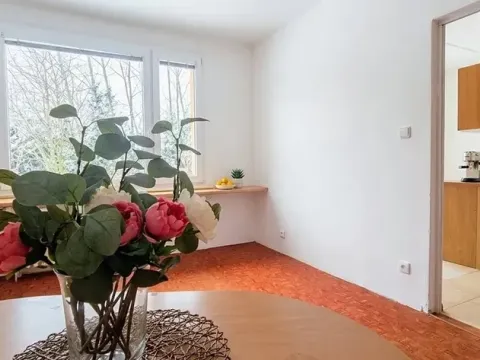 Prodej bytu 1+1, Turnov, Přepeřská, 35 m2