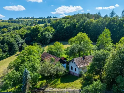Prodej zemědělské usedlosti, Lípa, 1492 m2