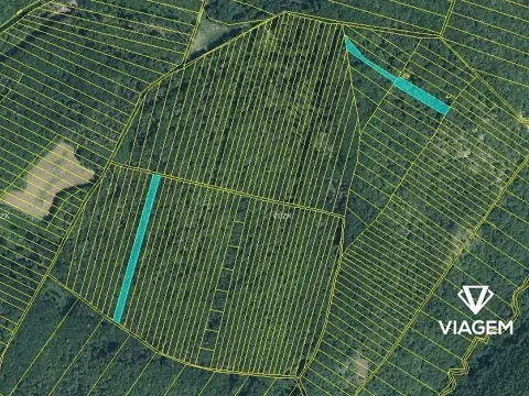 Prodej podílu lesa, Brno, 996 m2