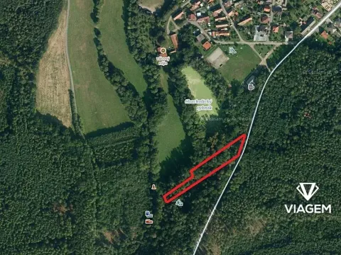 Prodej podílu lesa, Chrast, 1007 m2