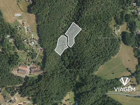 Prodej podílu lesa, Mírová pod Kozákovem, 4616 m2