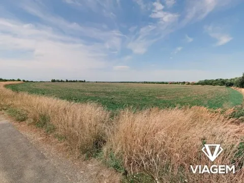 Prodej podílu pole, Praha - Cholupice, 2964 m2