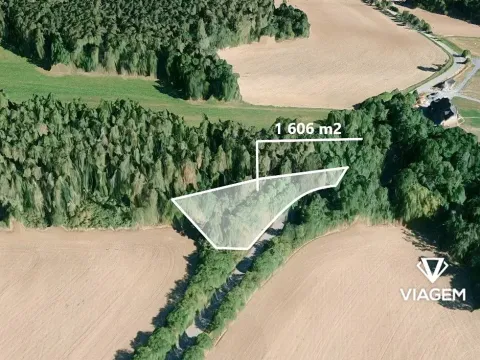Prodej podílu lesa, Čím, 803 m2