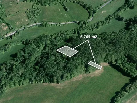 Prodej lesa, Kelníky, 6765 m2
