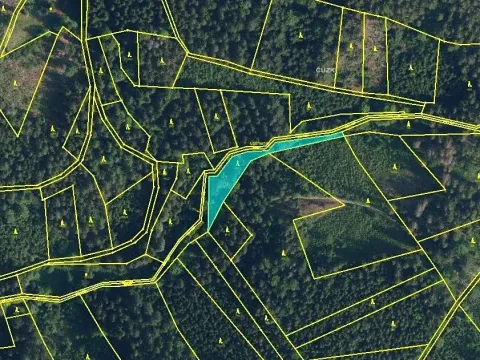 Prodej podílu lesa, Vysoké nad Jizerou, 742 m2