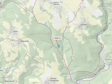 Dražba lesa, Jílové u Držkova, 10166 m2