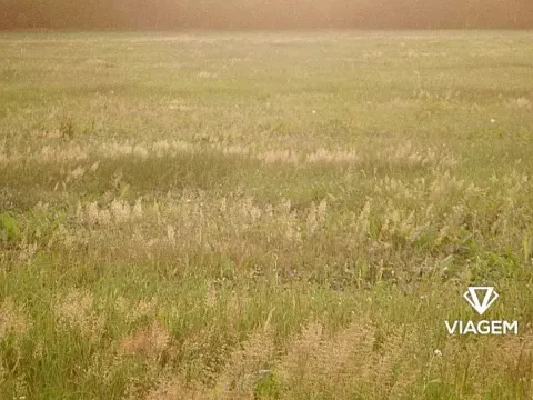 Prodej pole, Blatno, 7300 m2