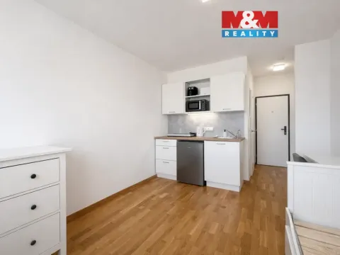 Pronájem bytu 1+kk, Praha - Vysočany, 17 m2