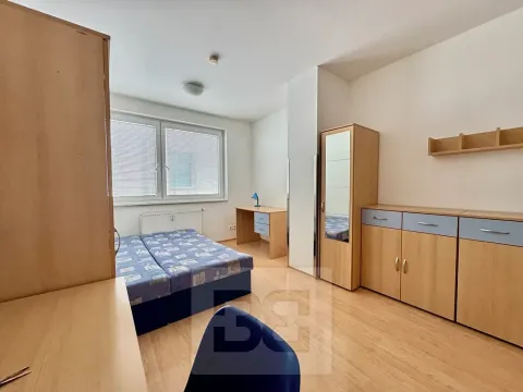 Pronájem bytu 1+kk, Brno, Cejl, 22 m2