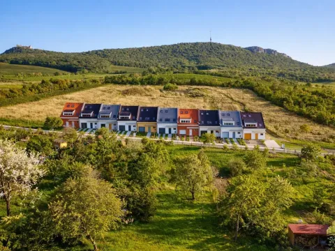 Prodej rodinného domu, Dolní Věstonice, 239 m2