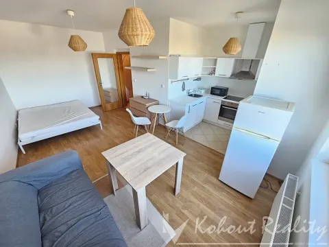 Pronájem bytu 1+kk, Praha - Hloubětín, Nademlejnská, 40 m2