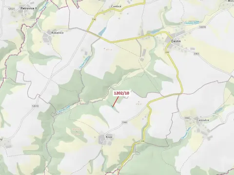 Dražba lesa, Čestín, 557 m2