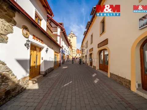 Pronájem bytu 1+kk, Beroun - Beroun-Centrum, Palackého, 38 m2