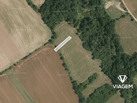 Prodej pole, Traplice, 422 m2