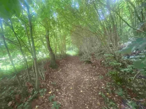 Dražba pozemku pro bydlení, Mladkov, 1004 m2